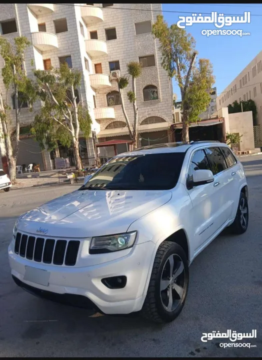 جيب فل كرتونه