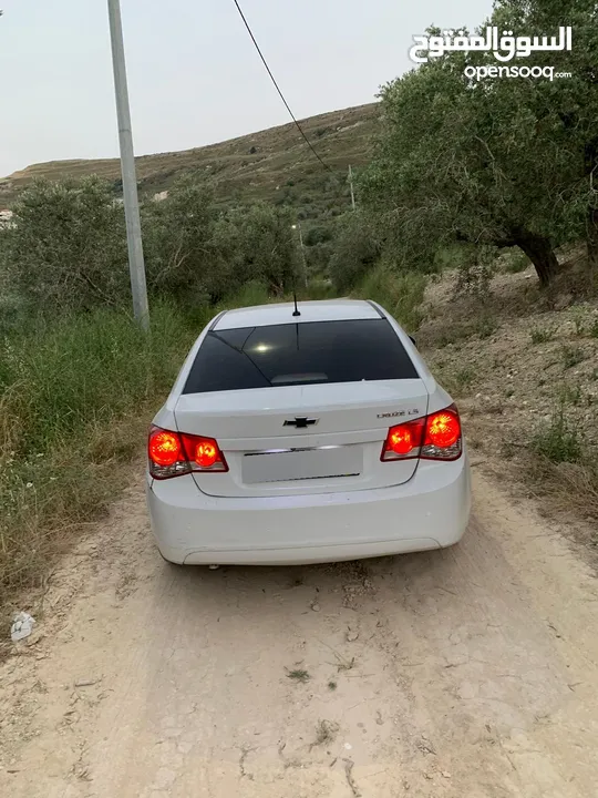 شفر كروز 2010 فحص نخب