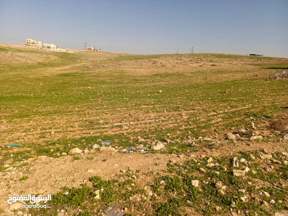 أرض البيع منطقة البيضاء تبعد عن جمرك عمان الجديد كيلو ومائة متر تقريبا  مفروزه