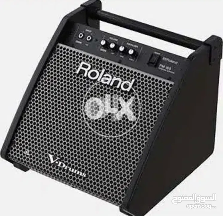 Roland PM100 Amp