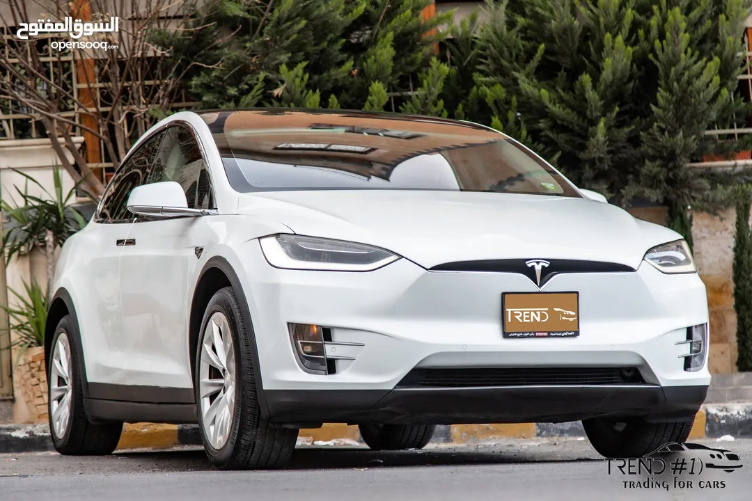 Tesla Model X 100D  2018