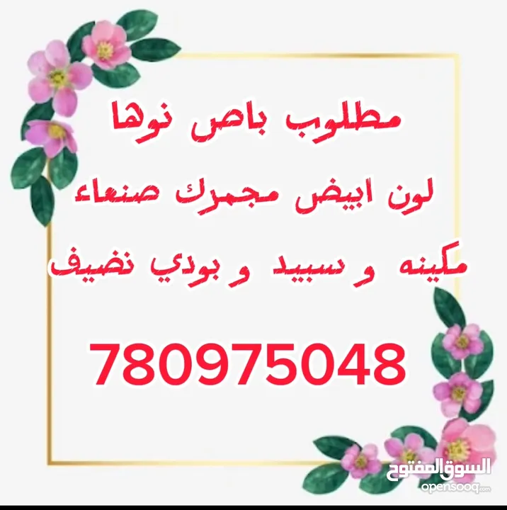 مطلوب باص نوها نضيف