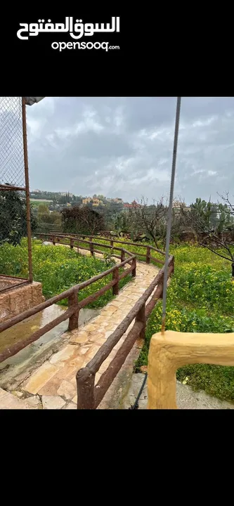 مزرعة للبيع في تل الرمان خيل وليل