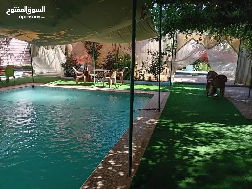 منتجع ومسابح ام ليمونه /عجلون / كفرنجة