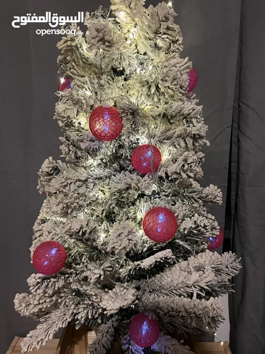 شجرة كريسماس من مصاروة / christmas tree from masarweh