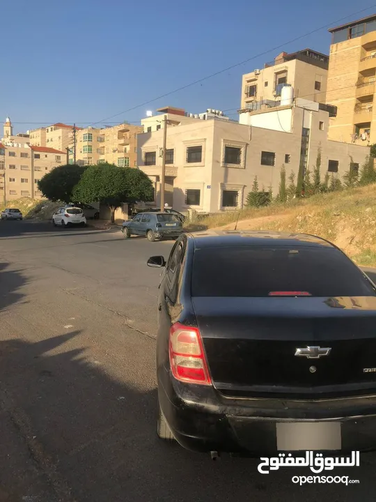 شفرالية كوبالت