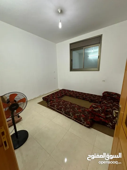 شقة طابق ارضي