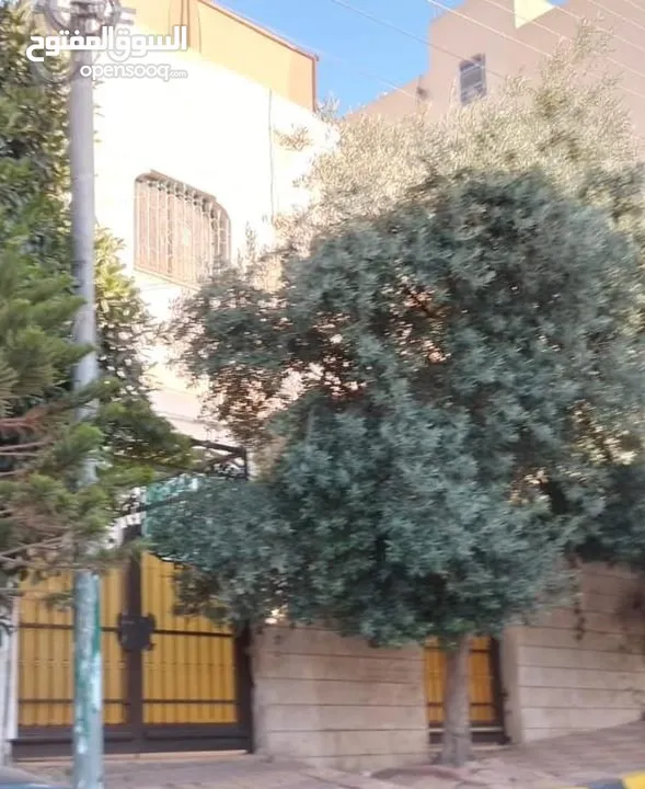 بيت مستقل طابقين أول طلوع عدن