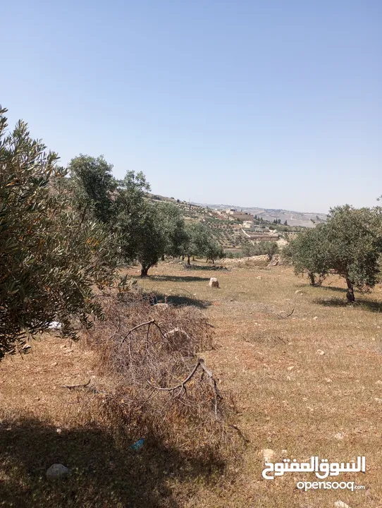 750م سكن ب حوض ابو الغزلان العال والروضة بسعر مغري للجادين مشجره إطلالة غربيه