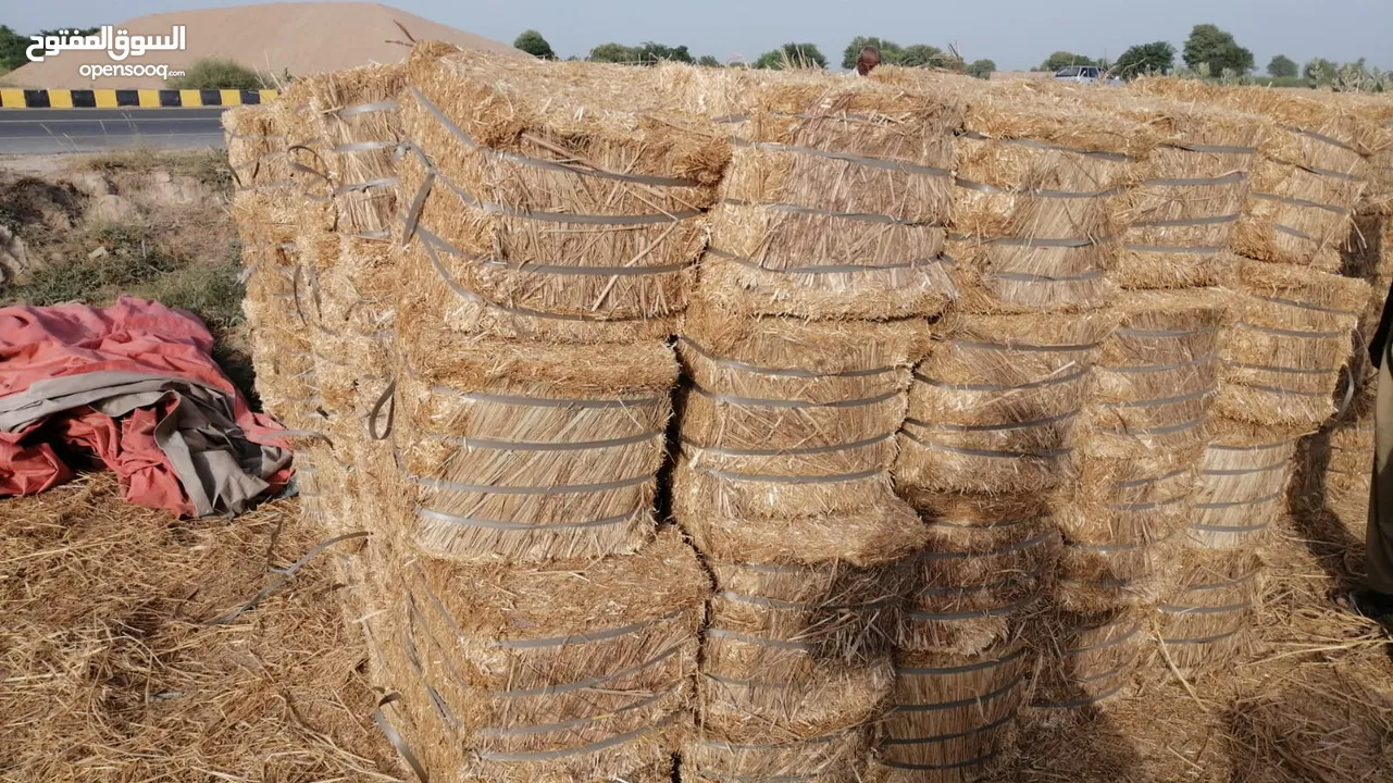 Wheat Straw ‎تبن