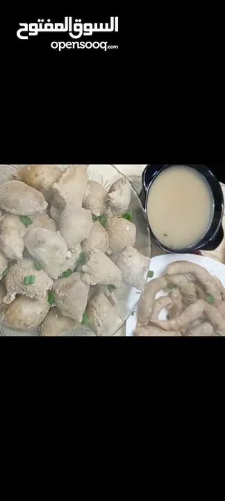 طبخات ومونت بيت جاهزة باي وكت. المأكولات الشهيه