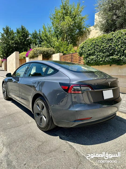 Tesla Model 3 2023 standard plus فحص كامل