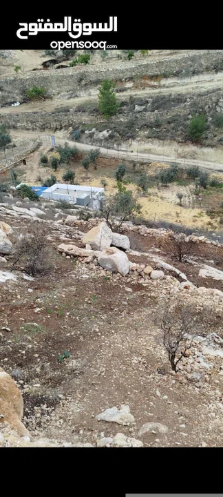 أرض للبيع في الخليل دورا