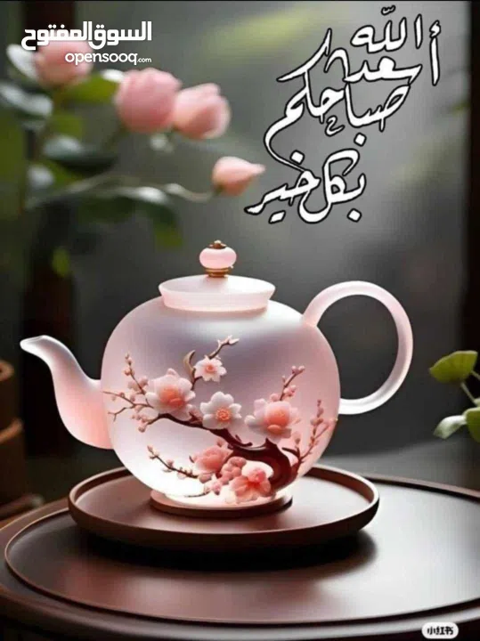 اثاث صالح للاستعمال وهو في حالة جيدة جدا