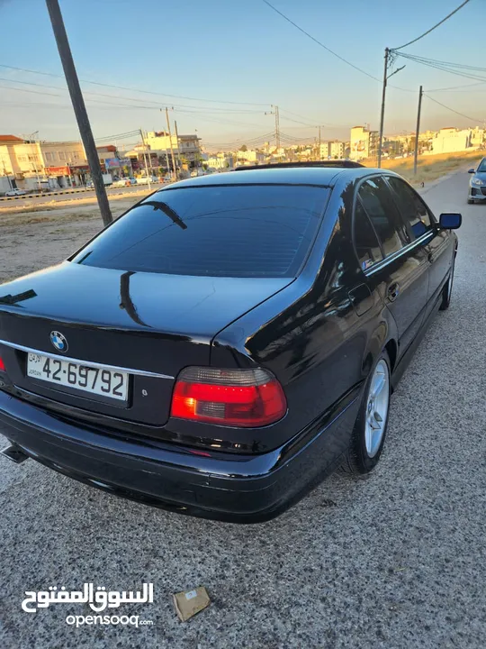 BMW E39 الدب