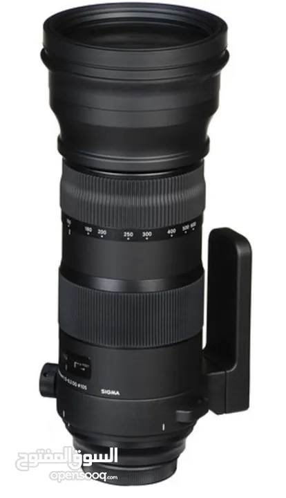 Sigma 150-600mm sports for Canon