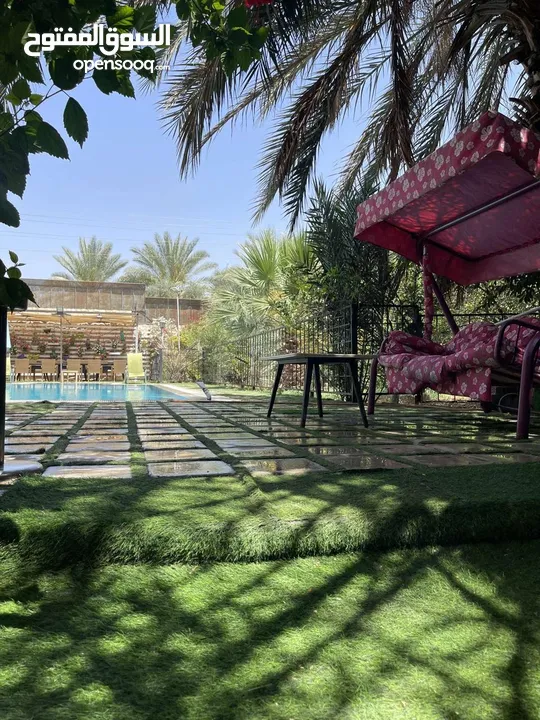 مزارع وشاليهات للايجار اليومي