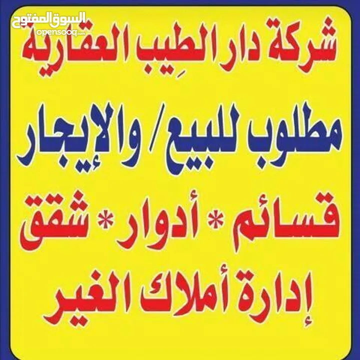 للايجار شقه في عبدالله مبارك ق9******