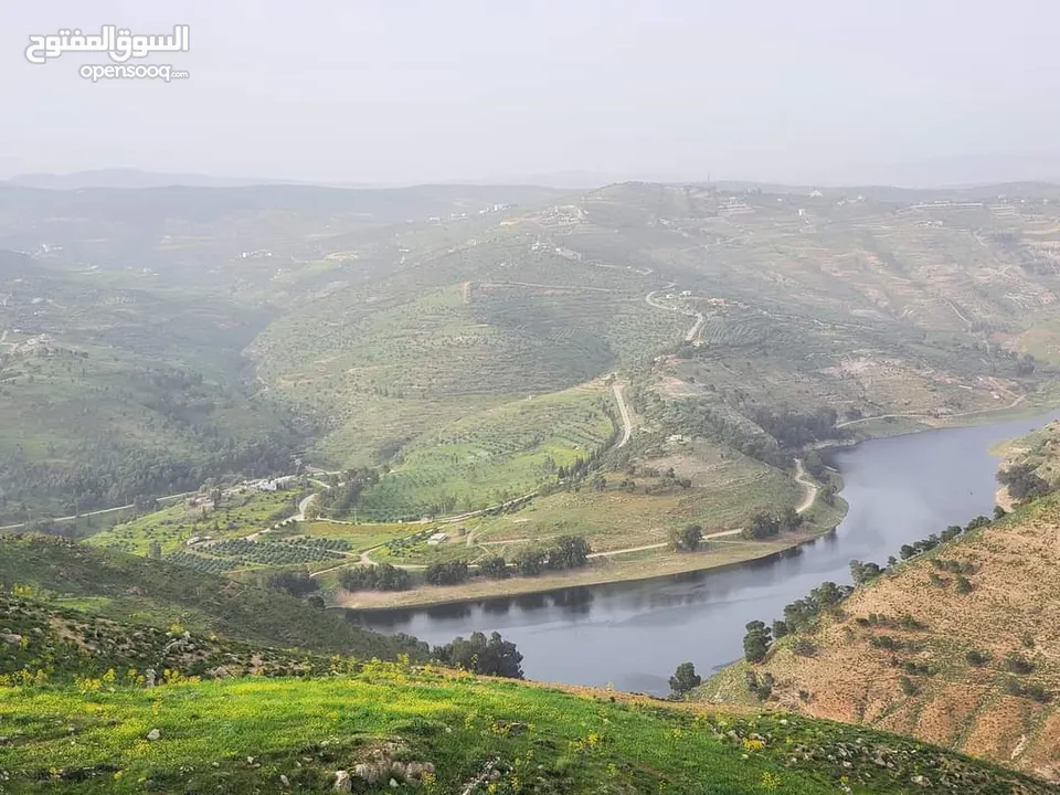 قطعة أرض للبيع _ تل الرمان _ شمال عمان