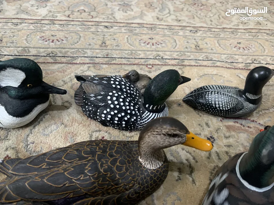 تحف لطيور كندية - مجموعة 20 قطعة - تم شراءها من كندا