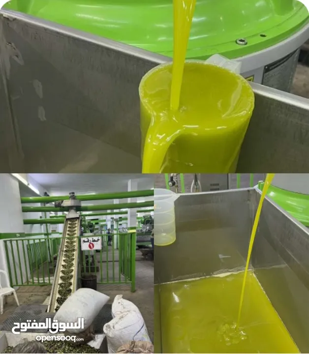 زيت زيتون بعل