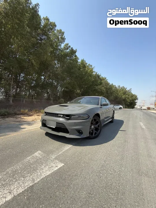 Dodge charger 2019 gt option (super track back).