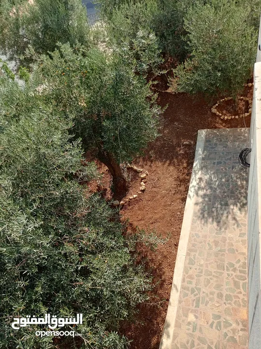 منزل شبه فيلا للايجار يصلح لعمل حضانه او روضه او مركز تحفيظ قرآن او شركه والعديد من الأعمال التجاريه