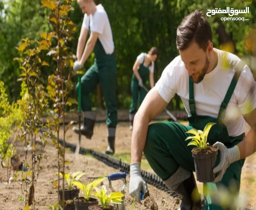 تنفيذ اعمال و صيانة حدائق و بحرات و نوافير و مسابح بأسعار تناسب الجميع