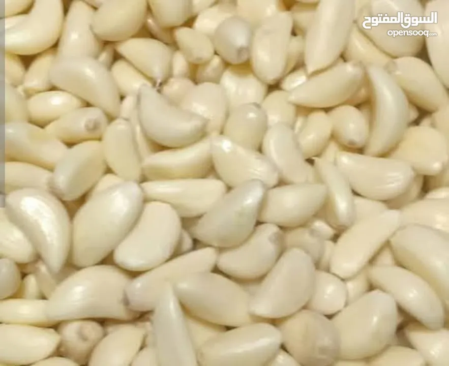 ثوم مقشر نخب اول بلدي