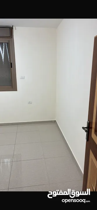 شقة للايجار