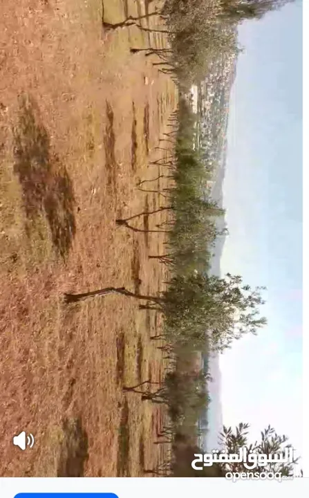 ارض للبيع في موبص