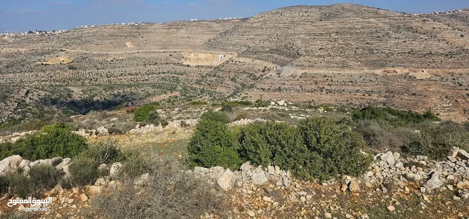 قطعة أرض للبيع  في عطارة رام الله
