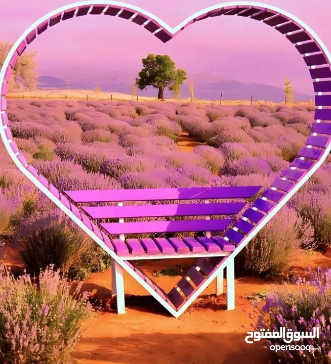 مراجيح ومداخل زهور قوسي