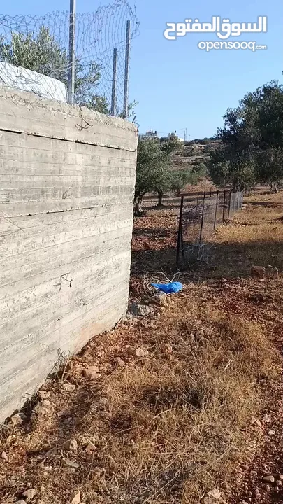 ارض للبيع في كوبر