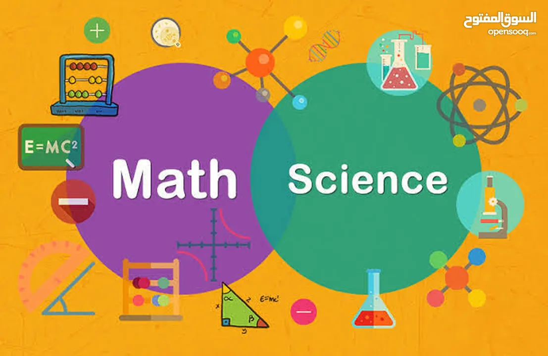 Math and Science Teacher