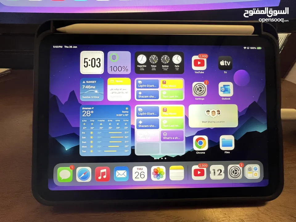 IPad mini 6