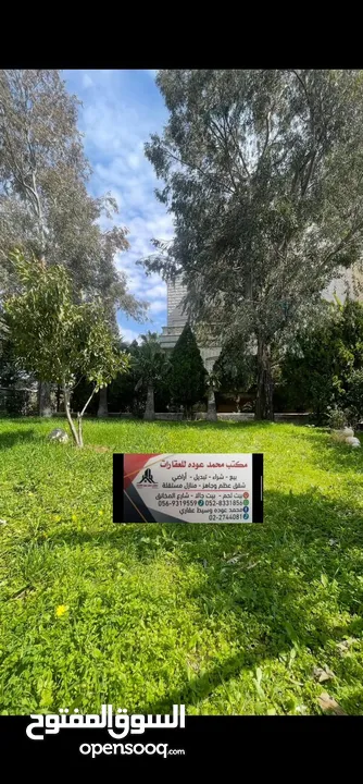 قصر  للبيع في اجمل مواقع راس بيت جالا