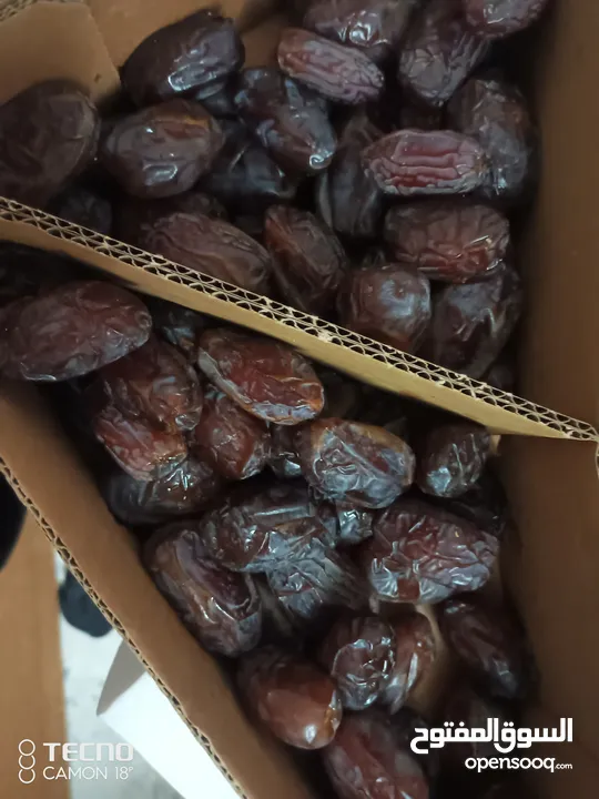 هل تبحث عن الطعم الأصيل والجودة المميزة؟  لدينا تمر نخب أول – جودة عالية وطعم أصيل
