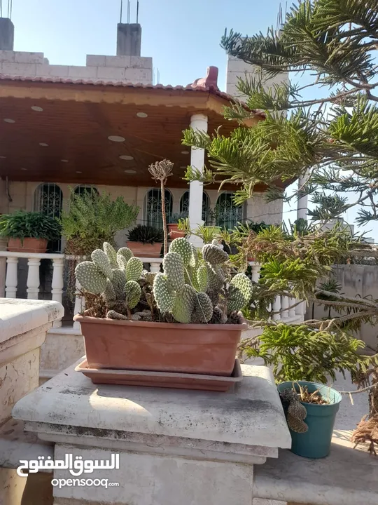 منزل (شبه فيلا) للبيع اربد (حوارة)