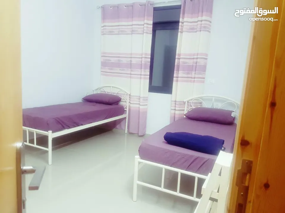 شقه للايجار