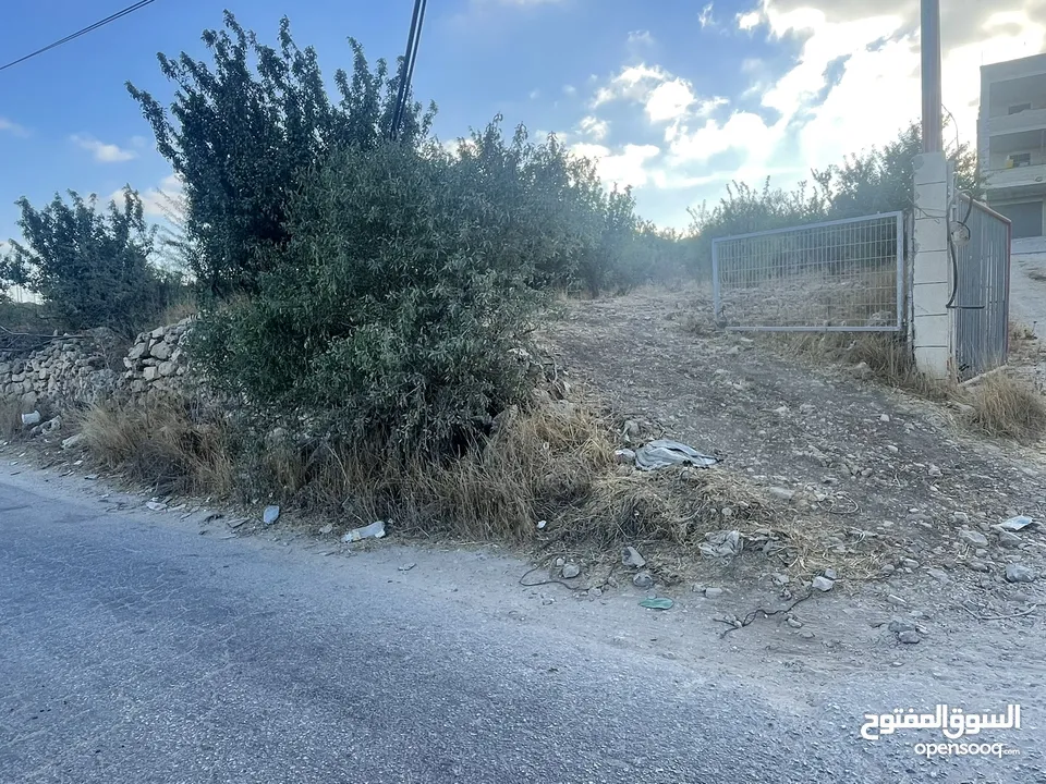 ارض للبيع بنص السعر و دقيقة عن خط ستين و 10 دقايق عن راس الجورة ، موقع ممتاز واصل كافة الخدمات