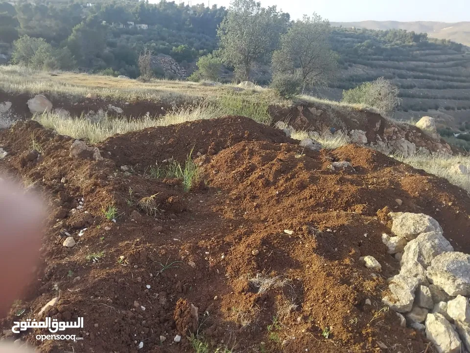 ارض بالعالوك مساحة 3 دونم و 400 متر في اجمل مناطق المحمر  للمهتمين : الاتصال على الارقام يلي بالوصف