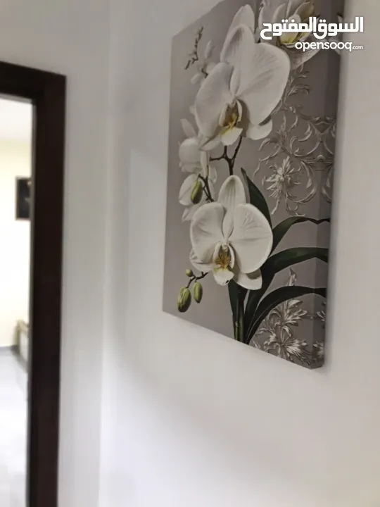 ستوديهات جديدة مفروشة اول الطيرة اول السرية