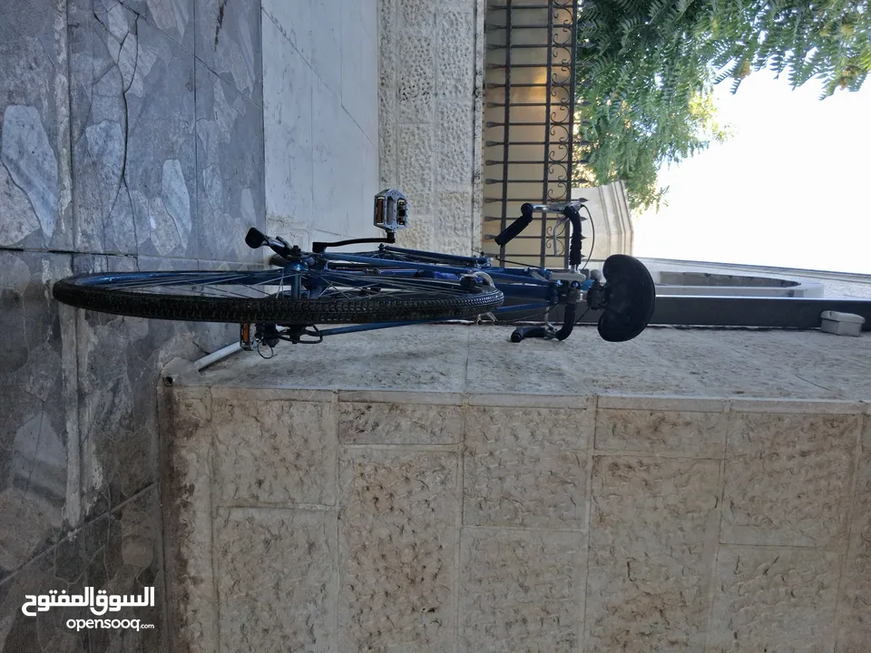 بسكليت سباق ياباني