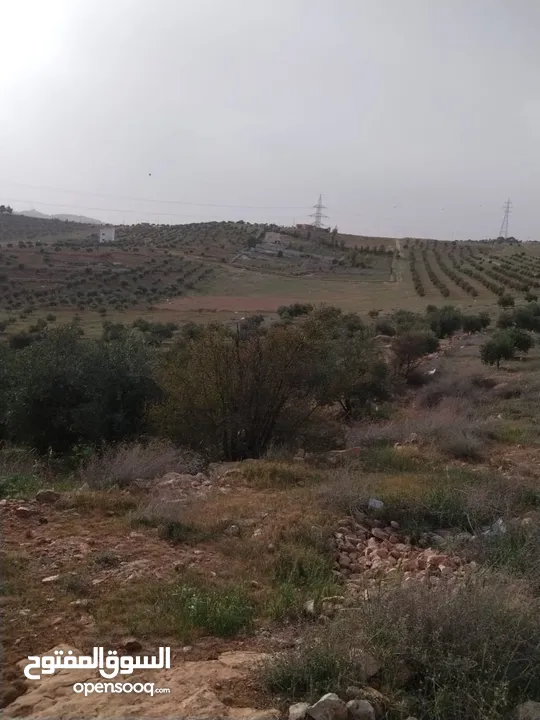 3600م للبيع رحاب بني حسن مرتفعه ومطله ع طريق اريد الزرقاء من المالك مباشره