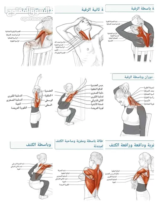 مدرب لياقه بدنيه وبناء أجسام ومدرب سباحه