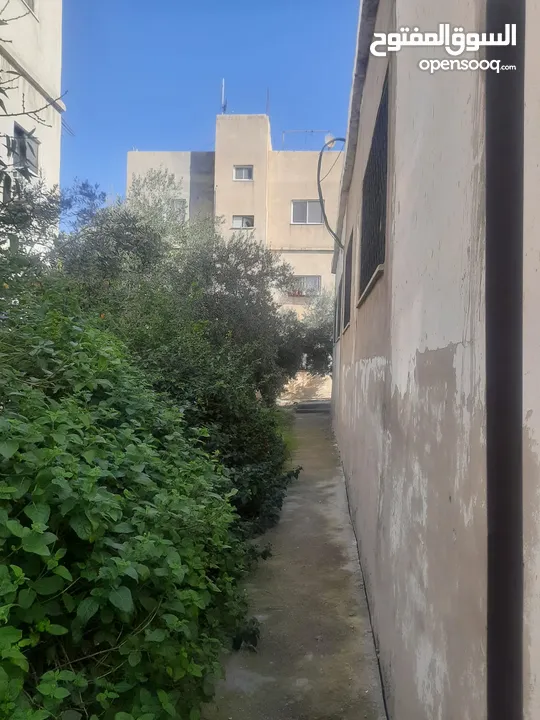 شقه للبيع اربد حي المطلع خلف حلويات العربي بجانب مسجد عين جالوت
