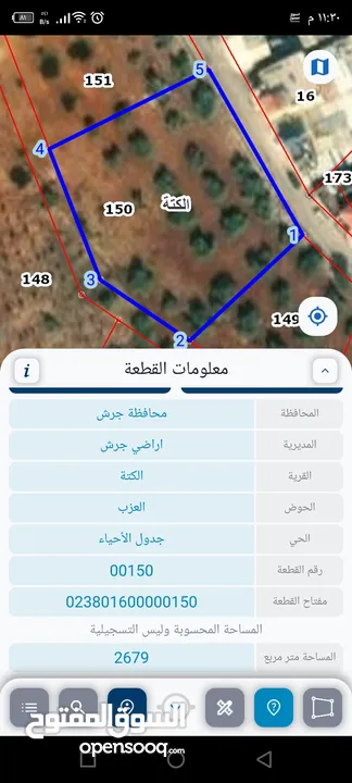 دونم ونص مزروعه زيتون للبيع في منطقه الحداده سعر نص الدونم 14000 مفروز جاهز