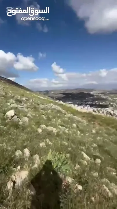 ارض للبيع في خلة الايمان الجبل الشمالي كوشان نظيف منطقة الف سلطة والف بلدية