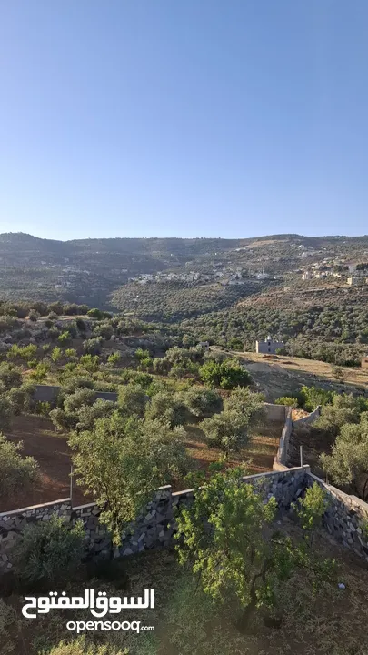 مزرعة وشاليه في جرش